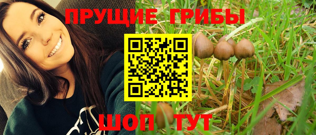 Галлюциногенные грибы Magic Shrooms  Вход с VPN  Вольск 