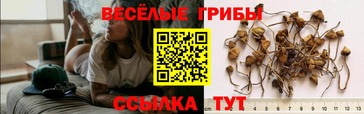 Галлюциногенные грибы Magic Shrooms Вольск